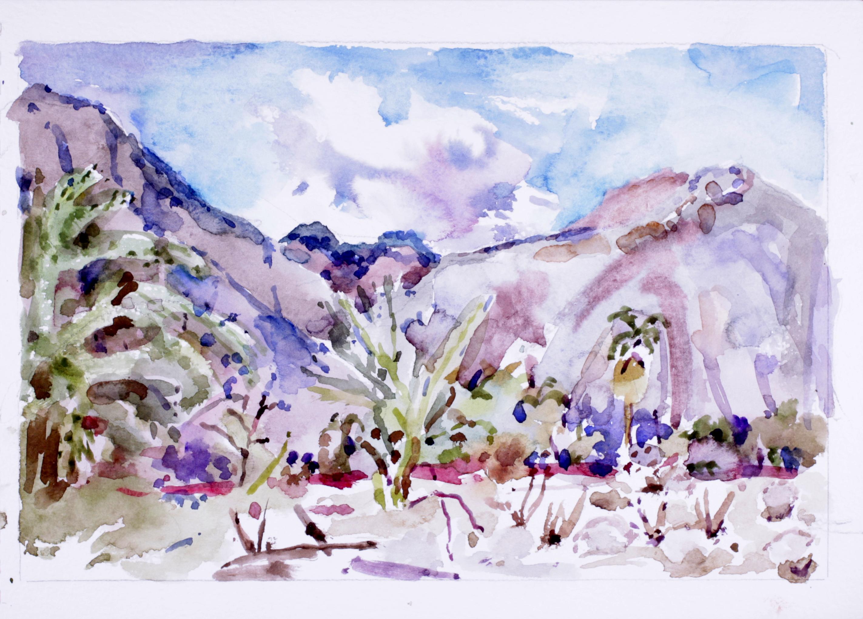 Anza-Borrego, California 2002/2003