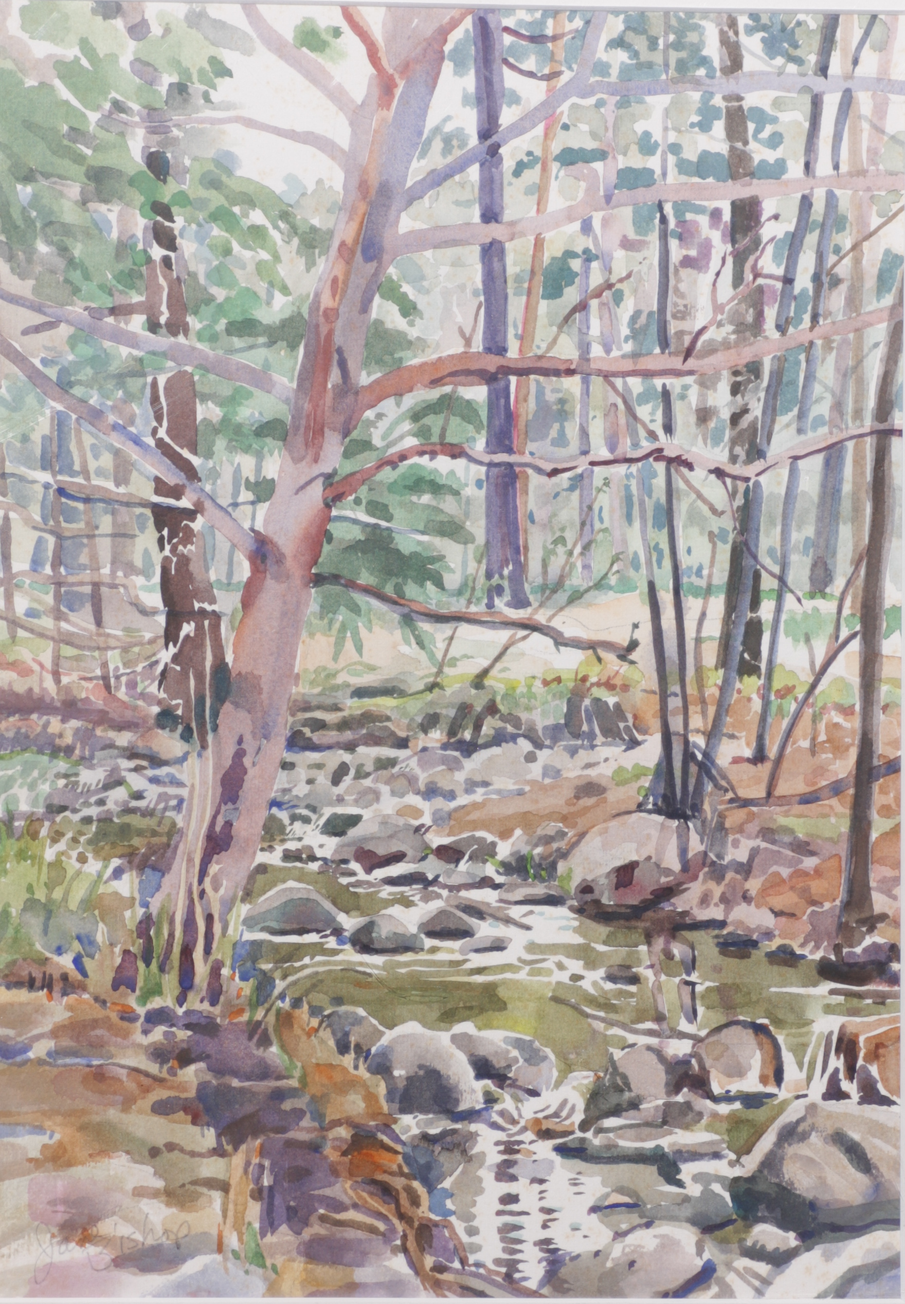#1578 Woods
