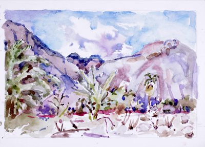 Anza-Borrego, California 2002/2003
